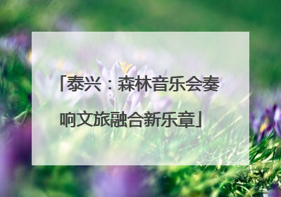 泰兴：森林音乐会奏响文旅融合新乐章