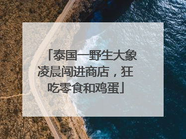 泰国一野生大象凌晨闯进商店，狂吃零食和鸡蛋