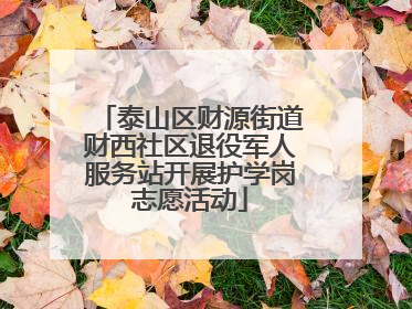 泰山区财源街道财西社区退役军人服务站开展护学岗志愿活动