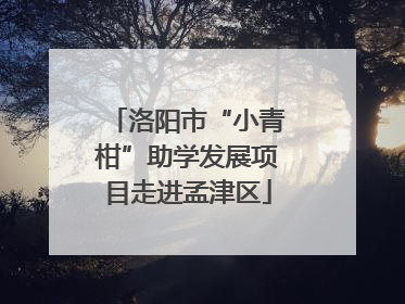 洛阳市“小青柑”助学发展项目走进孟津区