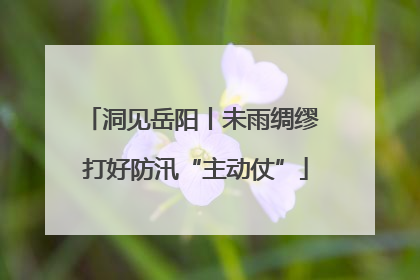 洞见岳阳丨未雨绸缪 打好防汛“主动仗”