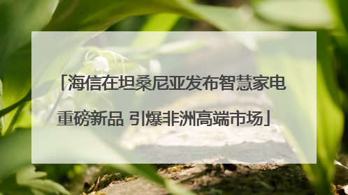 海信在坦桑尼亚发布智慧家电重磅新品 引爆非洲高端市场