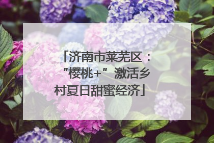 济南市莱芜区：“樱桃+”激活乡村夏日甜蜜经济