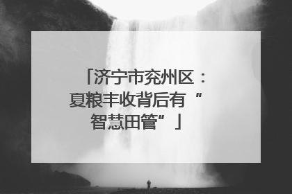济宁市兖州区：夏粮丰收背后有“智慧田管”