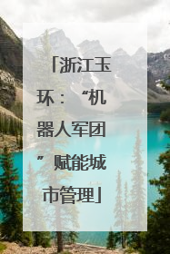浙江玉环：“机器人军团”赋能城市管理