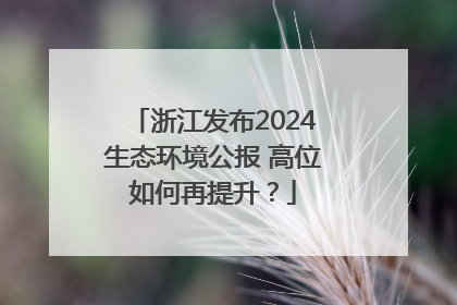 浙江发布2024生态环境公报 高位如何再提升？