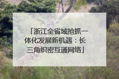 浙江全省域抢抓一体化发展新机遇：长三角织密互通网络