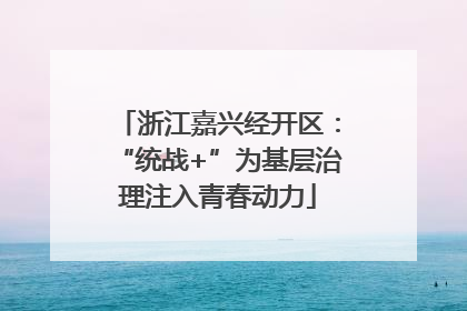 浙江嘉兴经开区：“统战+”为基层治理注入青春动力