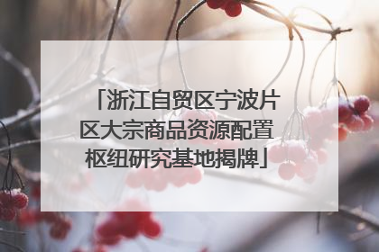 浙江自贸区宁波片区大宗商品资源配置枢纽研究基地揭牌