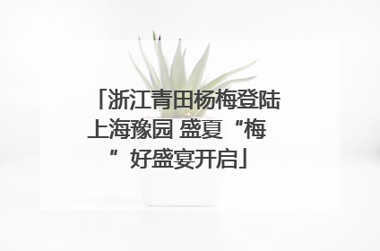 浙江青田杨梅登陆上海豫园 盛夏“梅”好盛宴开启