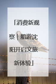 消费新观察｜船游沈阳开启文旅新体验