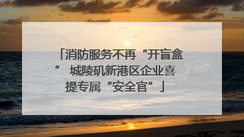 消防服务不再“开盲盒” 城陵矶新港区企业喜提专属“安全官”