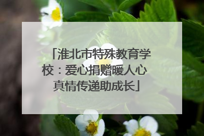 淮北市特殊教育学校：爱心捐赠暖人心 真情传递助成长