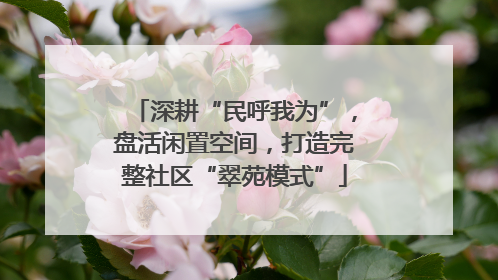 深耕“民呼我为”，盘活闲置空间，打造完整社区“翠苑模式”