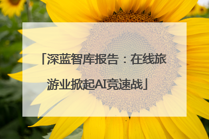 深蓝智库报告：在线旅游业掀起AI竞速战