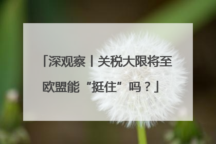 深观察丨关税大限将至欧盟能“挺住”吗？