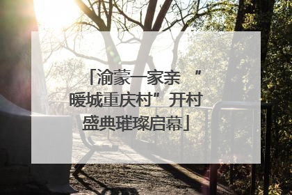 渝蒙一家亲 “暖城重庆村”开村盛典璀璨启幕