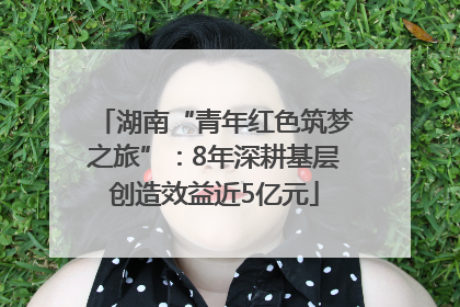 湖南“青年红色筑梦之旅”：8年深耕基层创造效益近5亿元