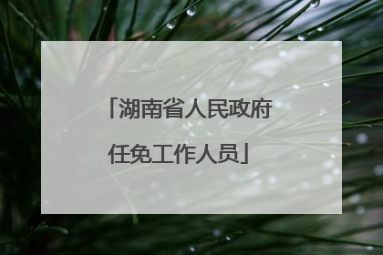 湖南省人民政府任免工作人员