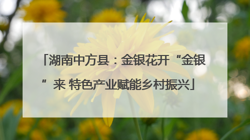 湖南中方县：金银花开“金银”来 特色产业赋能乡村振兴