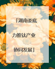 湖南娄底力推钛产业协同发展