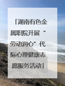 湖南有色金属职院开展“劳动润心”代际心理健康志愿服务活动