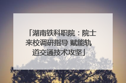 湖南铁科职院：院士来校调研指导 赋能轨道交通技术攻坚