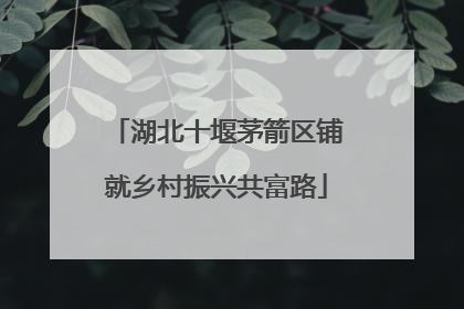 湖北十堰茅箭区铺就乡村振兴共富路