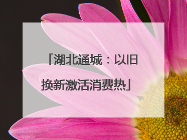 湖北通城：以旧换新激活消费热