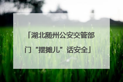 湖北随州公安交管部门“摆摊儿”话安全