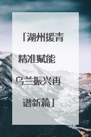 湖州援青精准赋能 乌兰振兴再谱新篇