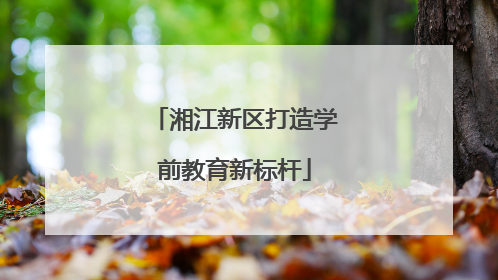 湘江新区打造学前教育新标杆