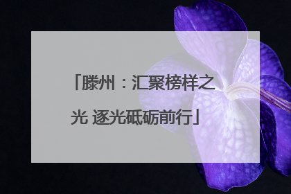 滕州：汇聚榜样之光 逐光砥砺前行