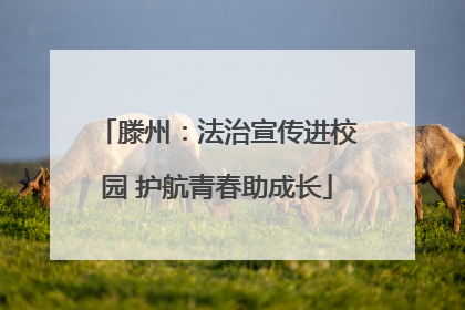 滕州：法治宣传进校园 护航青春助成长