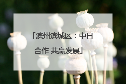 滨州滨城区：中日合作 共赢发展