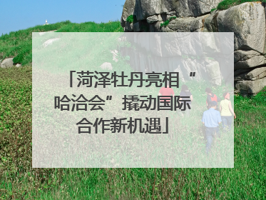 菏泽牡丹亮相“哈洽会”撬动国际合作新机遇