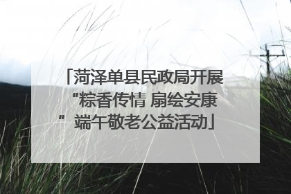 菏泽单县民政局开展“粽香传情 扇绘安康”端午敬老公益活动