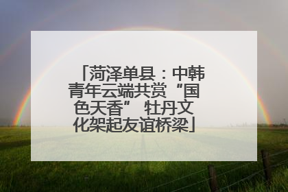 菏泽单县：中韩青年云端共赏“国色天香” 牡丹文化架起友谊桥梁