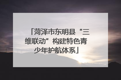 菏泽市东明县“三维联动”构建特色青少年护航体系