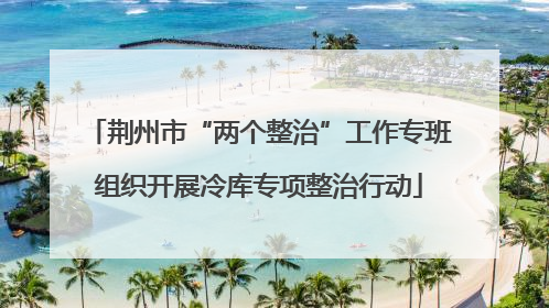 荆州市“两个整治”工作专班组织开展冷库专项整治行动