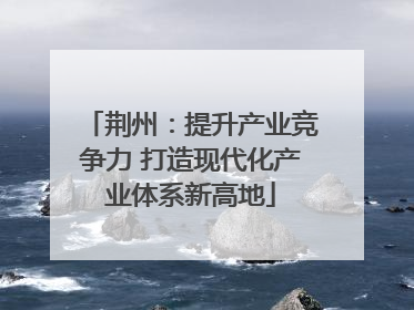 荆州：提升产业竞争力 打造现代化产业体系新高地