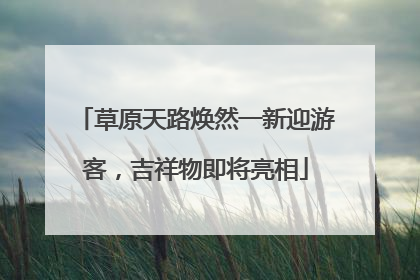 草原天路焕然一新迎游客，吉祥物即将亮相