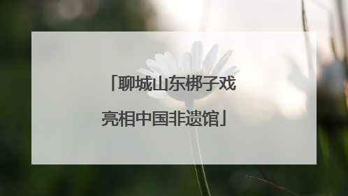 聊城山东梆子戏亮相中国非遗馆