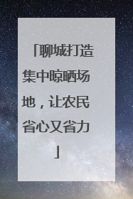 聊城打造集中晾晒场地，让农民省心又省力