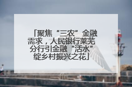 聚焦“三农”金融需求，人民银行莱芜分行引金融“活水”绽乡村振兴之花