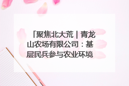 聚焦北大荒｜青龙山农场有限公司：基层民兵参与农业环境综合治理显效