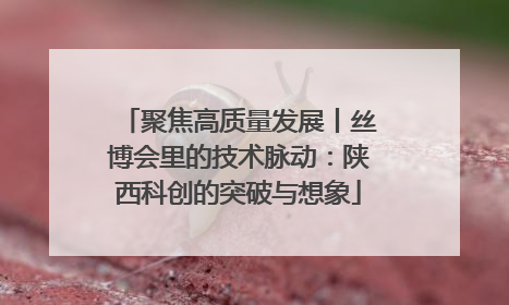 聚焦高质量发展丨丝博会里的技术脉动：陕西科创的突破与想象