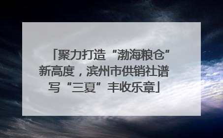 聚力打造“渤海粮仓”新高度，滨州市供销社谱写“三夏”丰收乐章