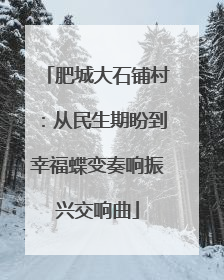 肥城大石铺村：从民生期盼到幸福蝶变奏响振兴交响曲