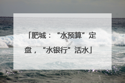 肥城：“水预算”定盘，“水银行”活水